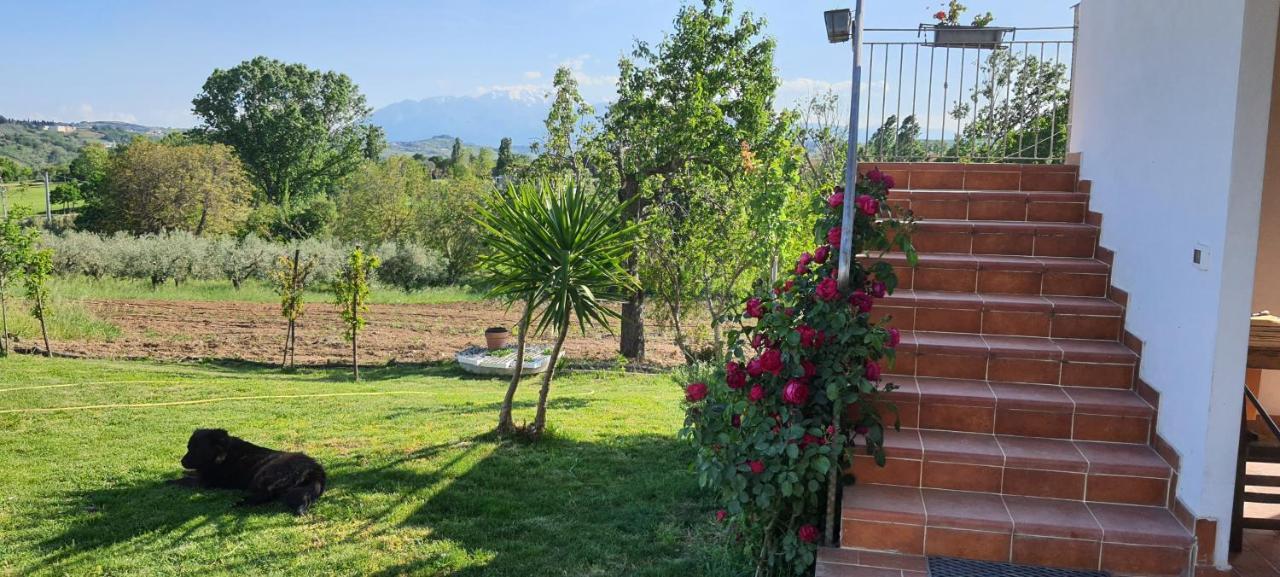 Casa Vacanze Cerreto 3 미글리아니코 외부 사진